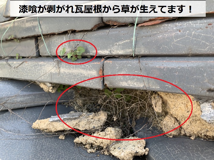 瓦屋根の漆喰が剥がれ草が生えている様子