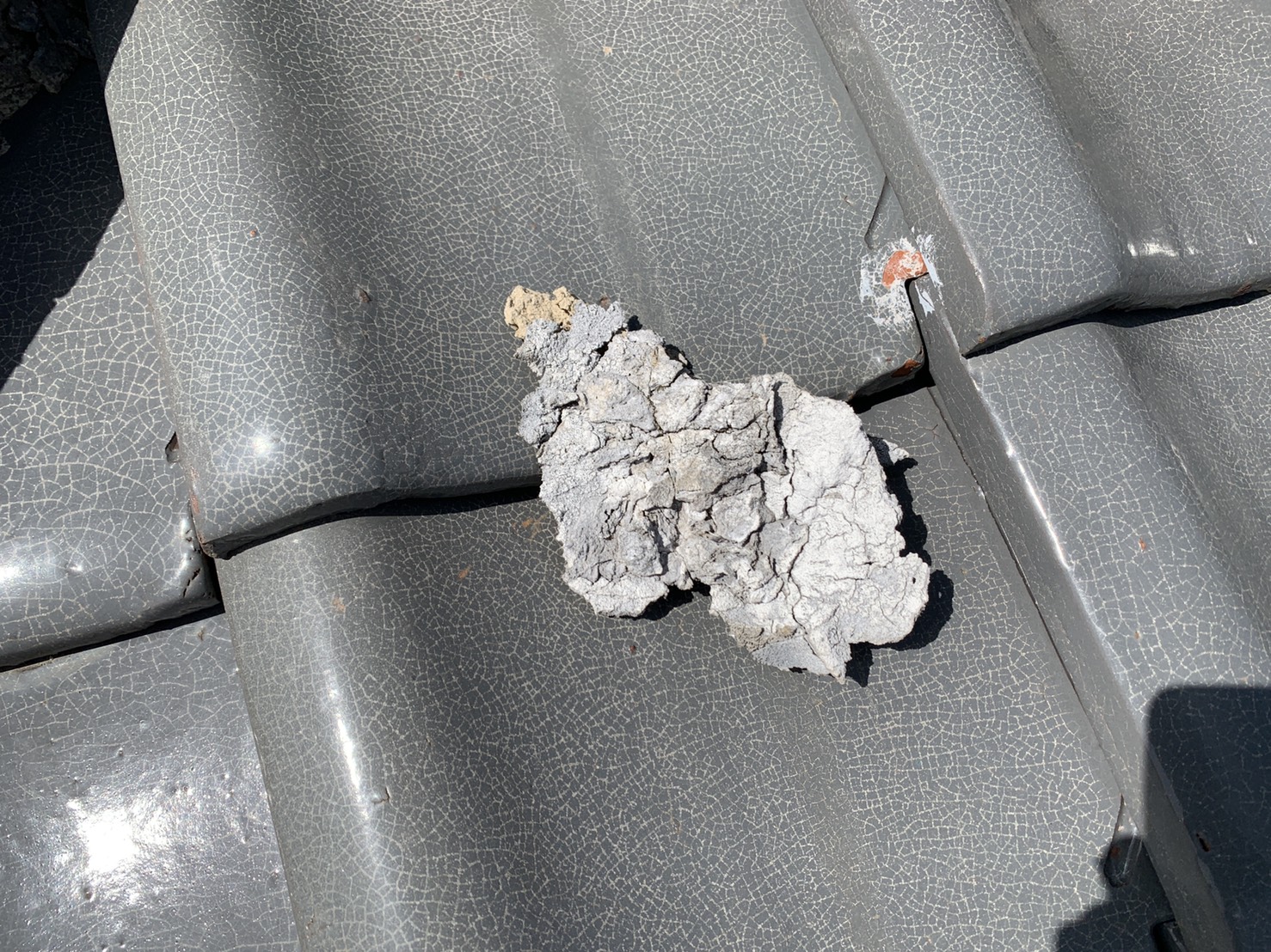 劣化した漆喰が瓦屋根の上に転がっている様子