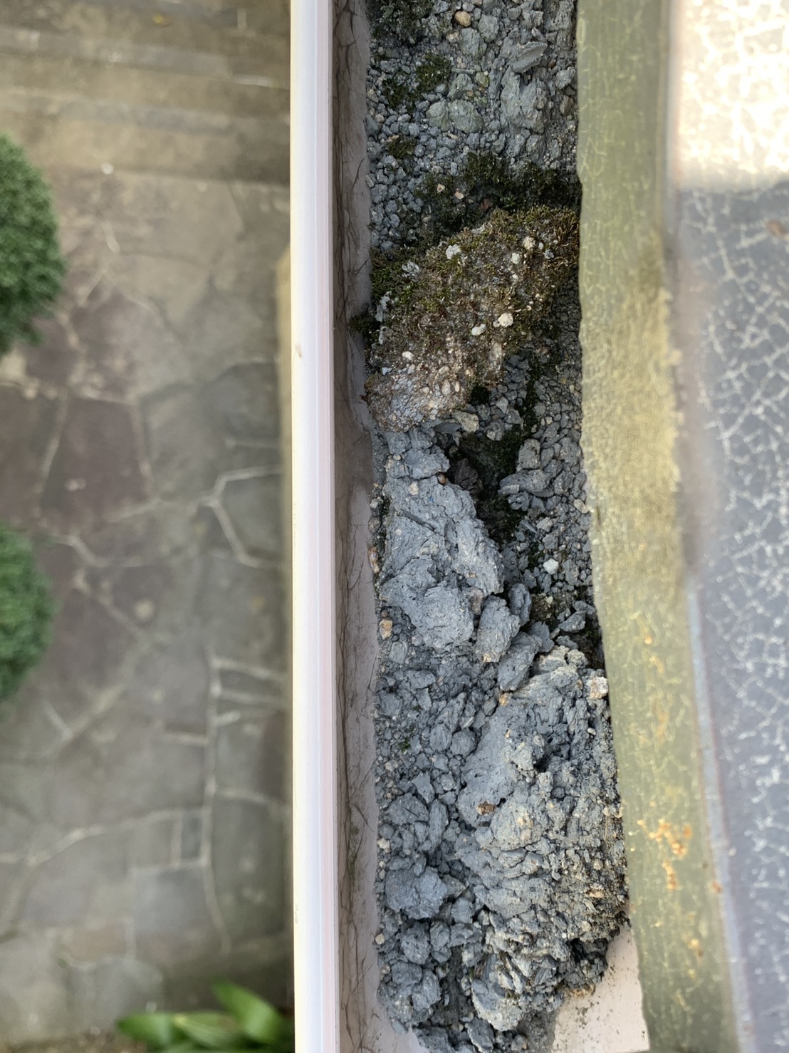 劣化した漆喰や土で詰まっている雨樋