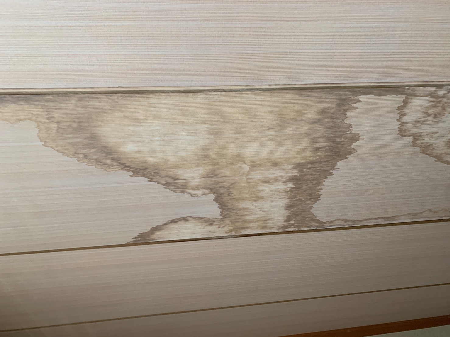 神戸市西区での連棟屋根のお家で室内に雨漏りしている様子