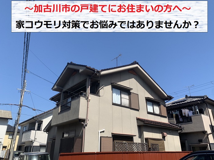 加古川市で家コウモリ対策の無料調査を行う現場の様子