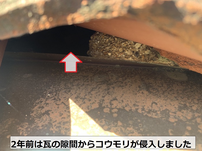 瓦屋根の隙間からコウモリが侵入した様子