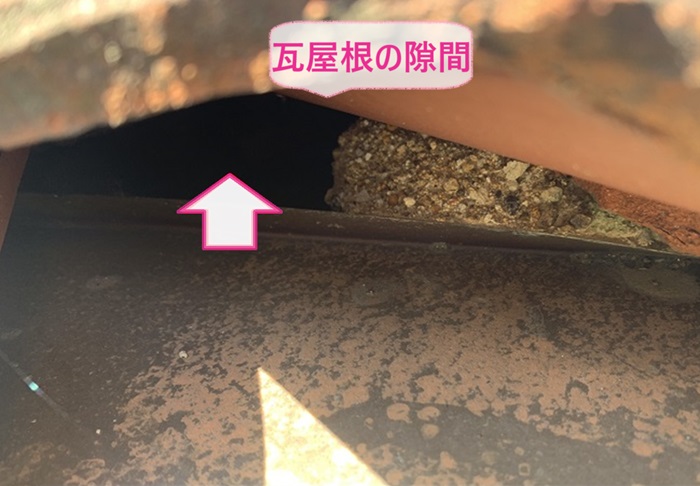 軒下の隙間の他に瓦屋根の隙間なども鳥害対策が必要な様子