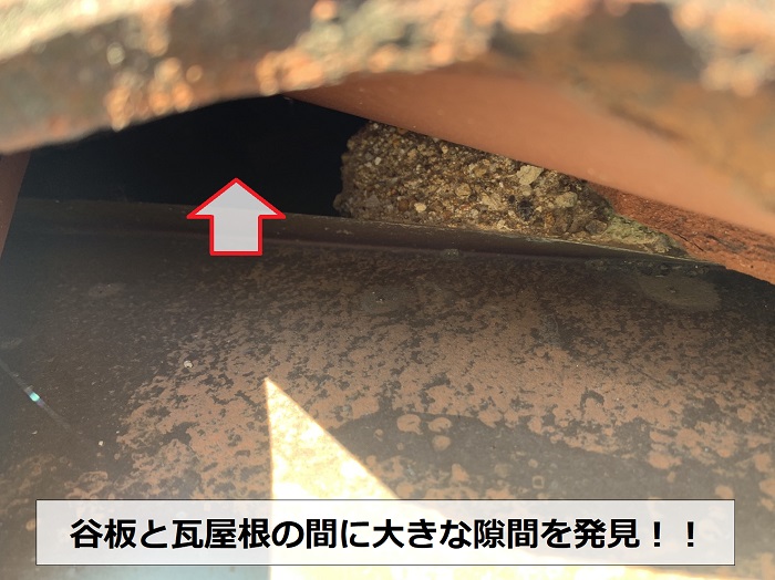 谷板と瓦屋根の間にコウモリが侵入しそうな隙間を発見