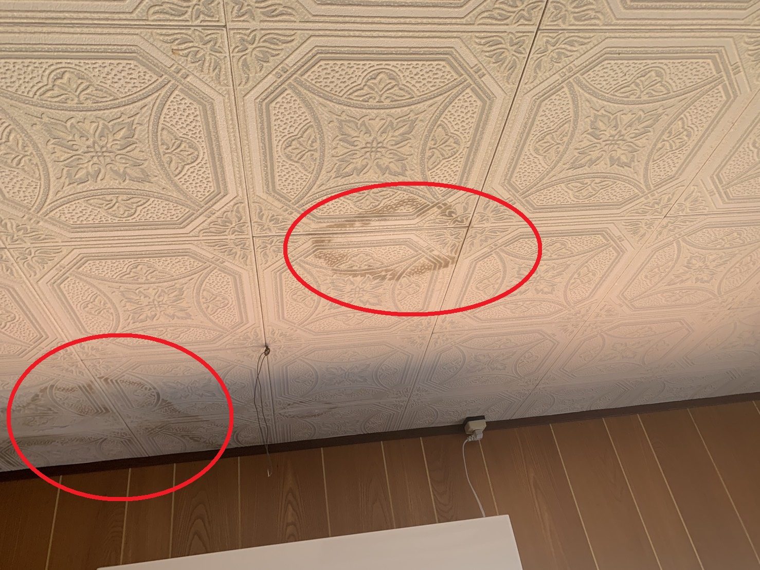 豪雨での雨漏りで天井に大きなシミが出来ている様子