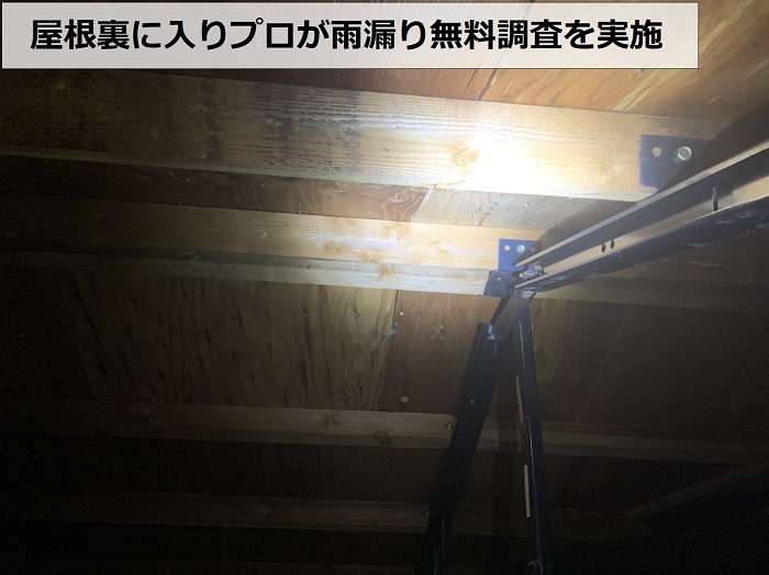 屋根裏に入りプロが雨漏りの無料調査