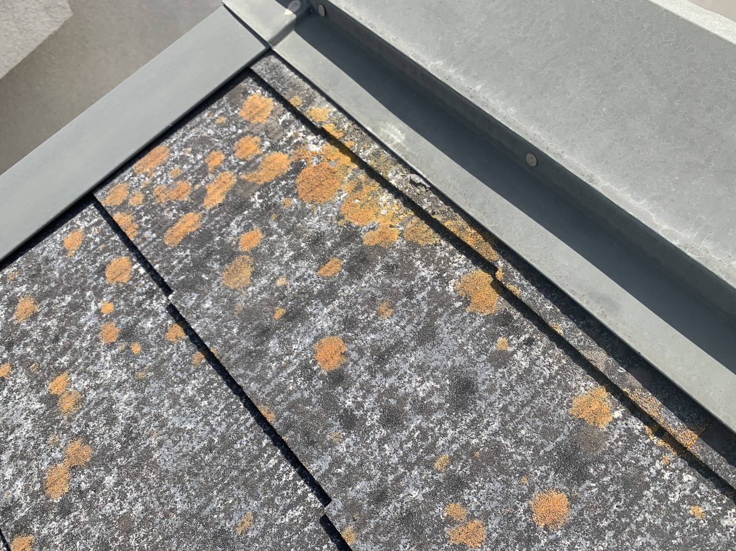 三田市でのスレート屋根調査でスレート屋根の表面に苔が生えている様子