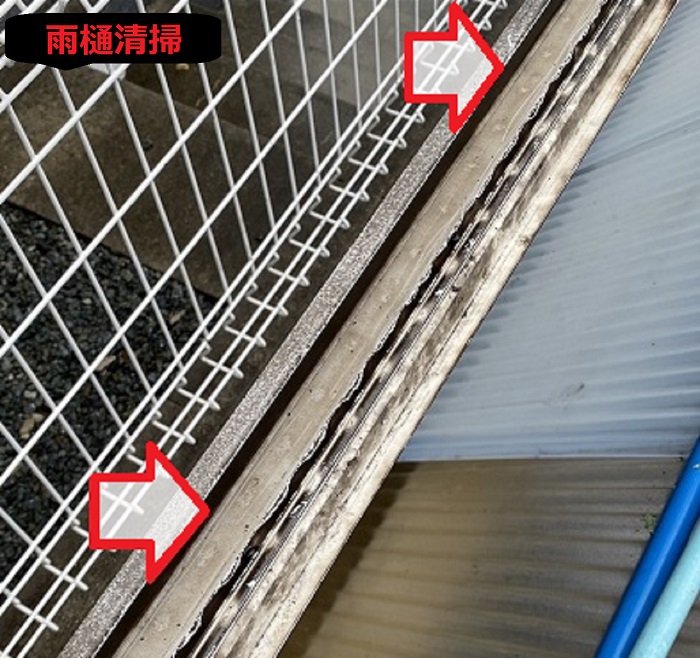 雨樋を清掃
