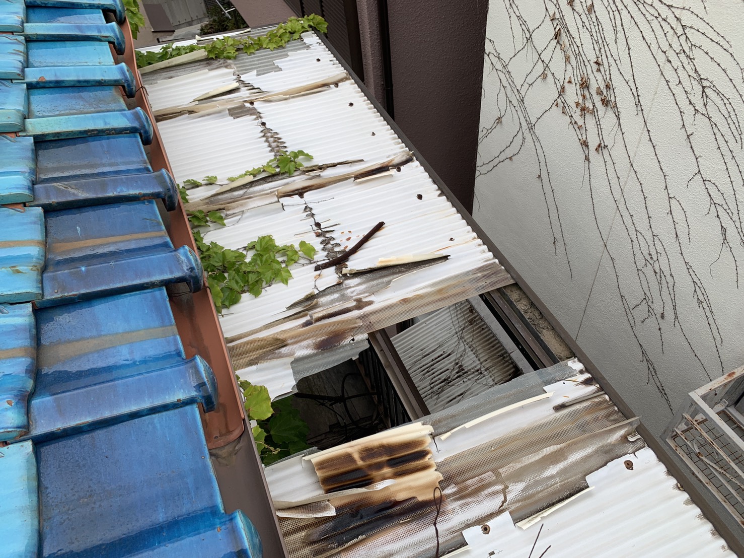 明石市で外装リフォームする予定の波板の様子