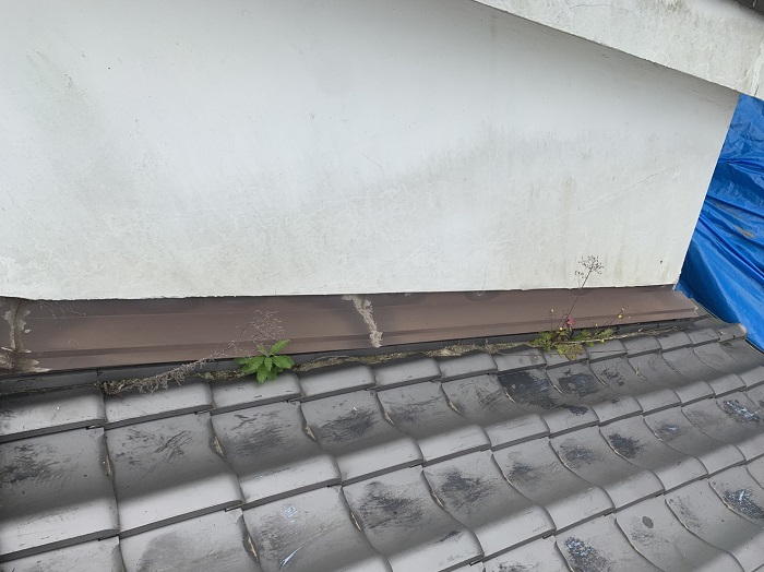 瓦屋根から草が生えている様子