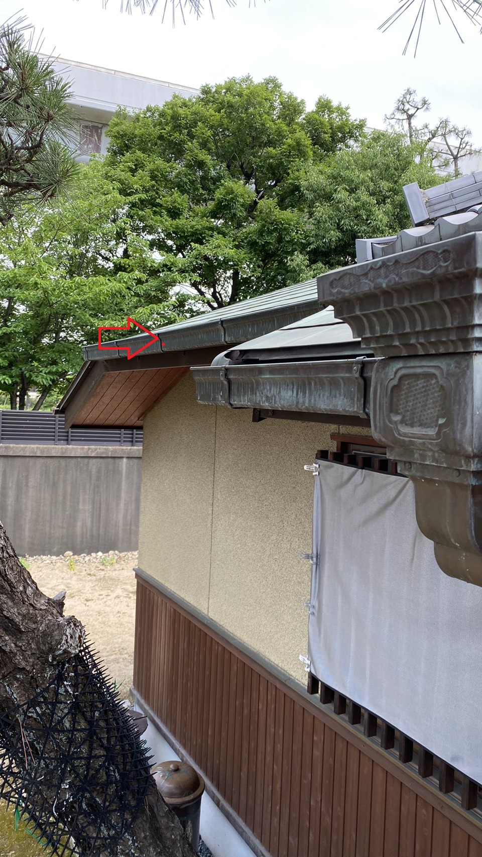 玄関横の雨樋もオーバーフローしていました