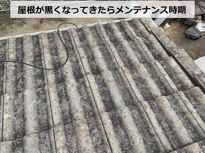 モニエル瓦の表面が黒くなってきたらメンテナンスの時期