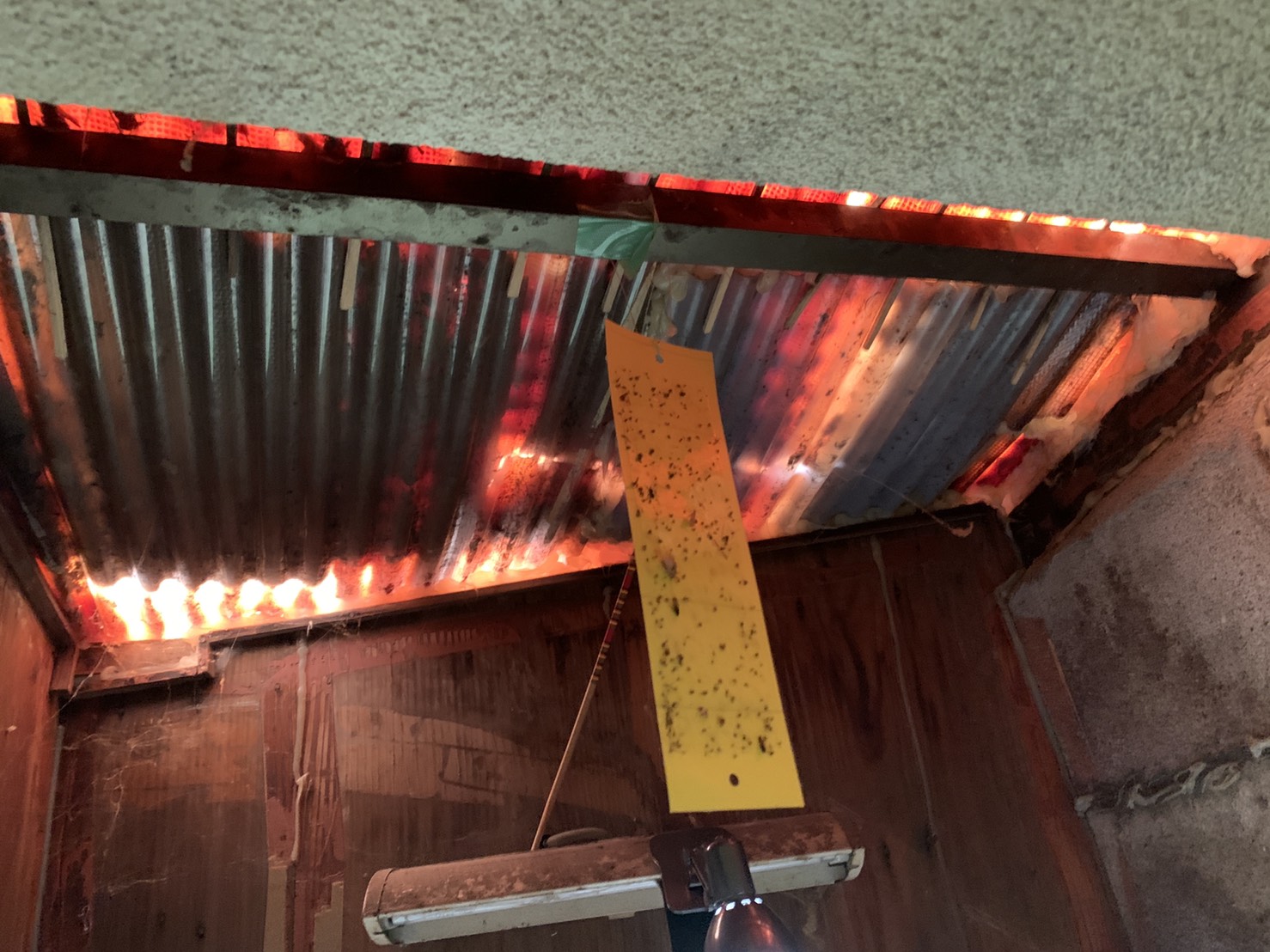 雨漏りしている洗濯機置き場の波板の様子