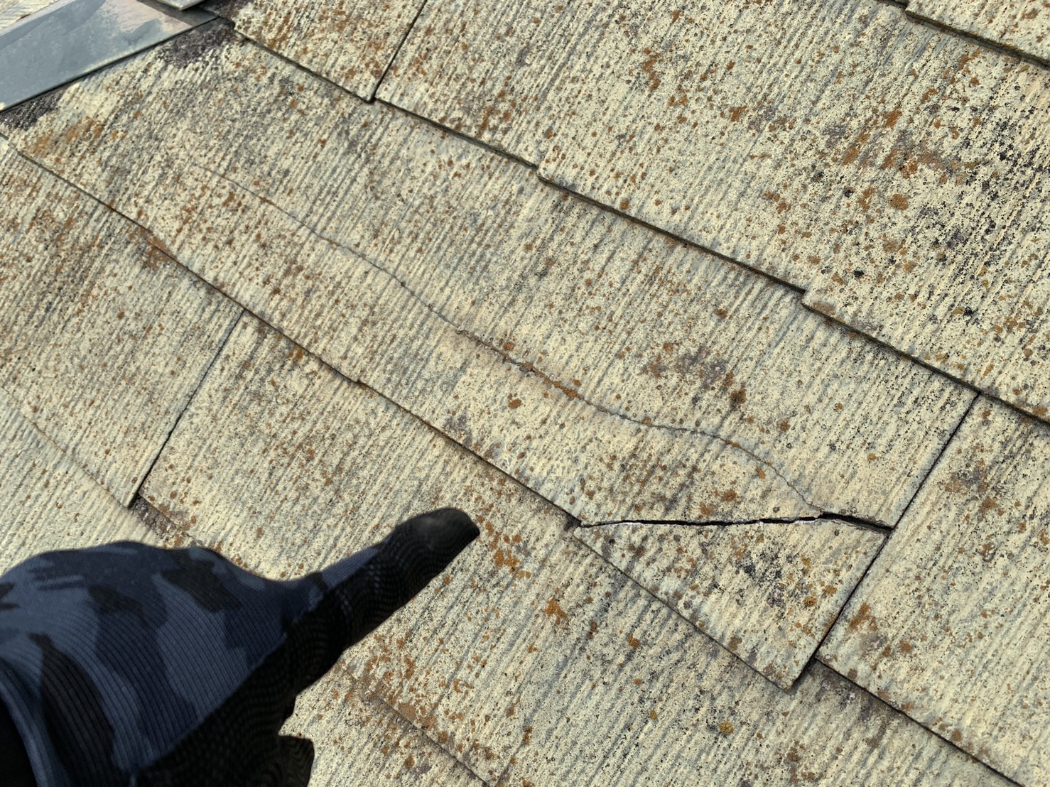 無料点検で発見した屋根のひび割れ