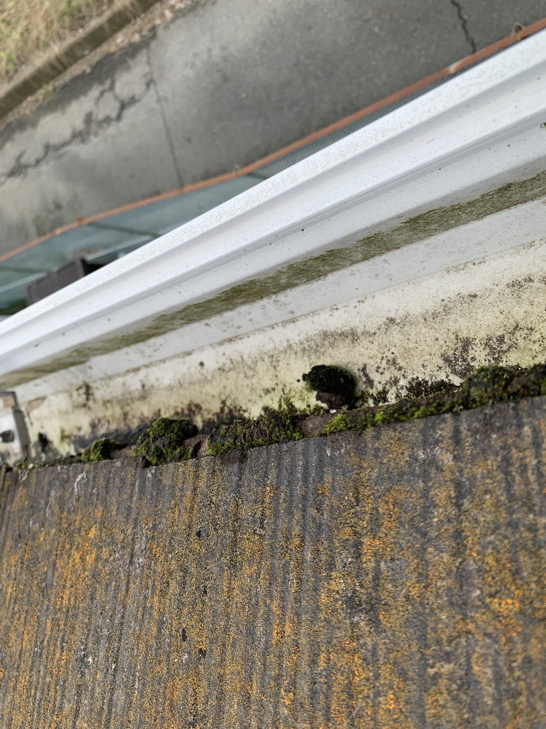 屋根の苔で汚れた雨樋