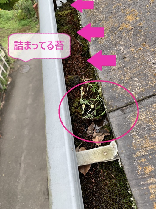 軒樋に落ち葉が溜まっている様子