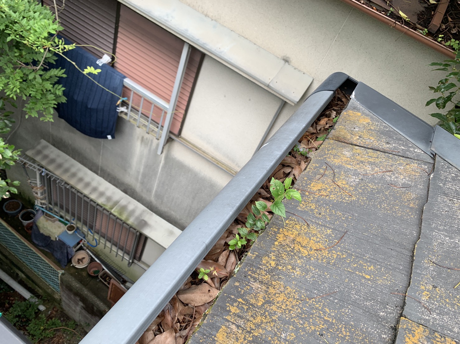 落ち葉が完全に詰まり大雨で水漏れしている雨樋