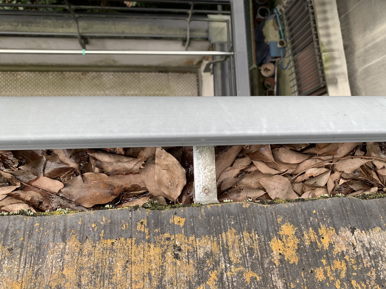 雨樋内部に落ち葉が詰まっている様子