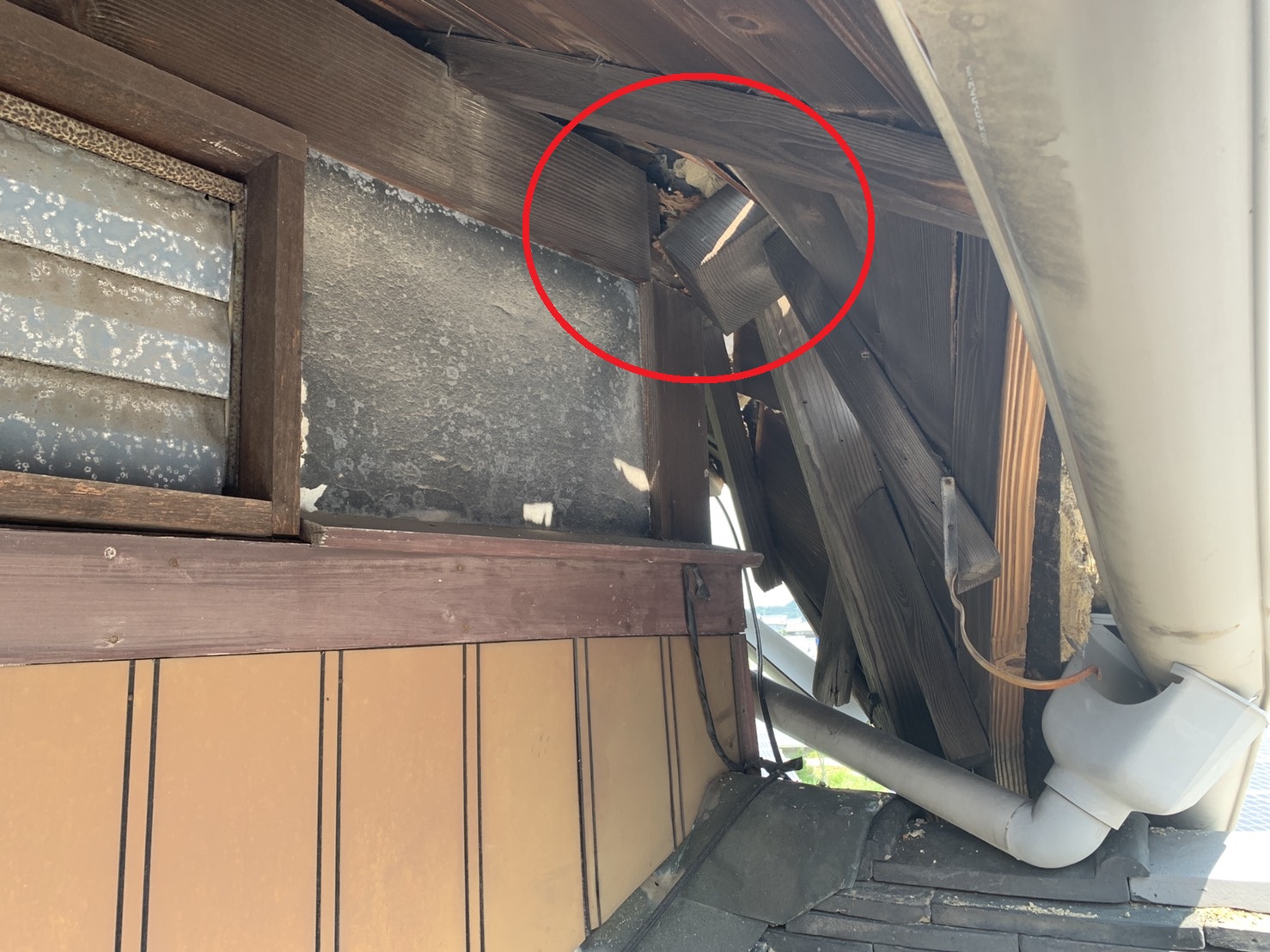 台風の雨で屋根下地が腐って折れている様子