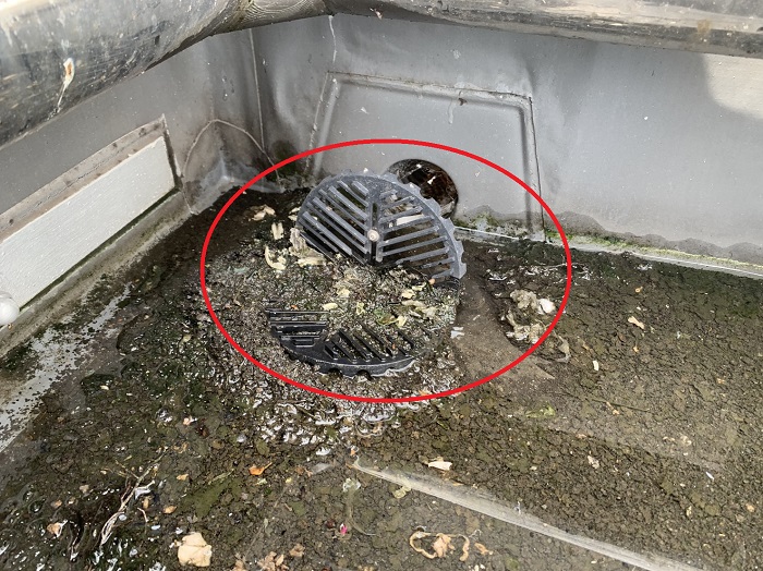 雨漏りしている屋上の排水溝にゴミが溜まっている様子