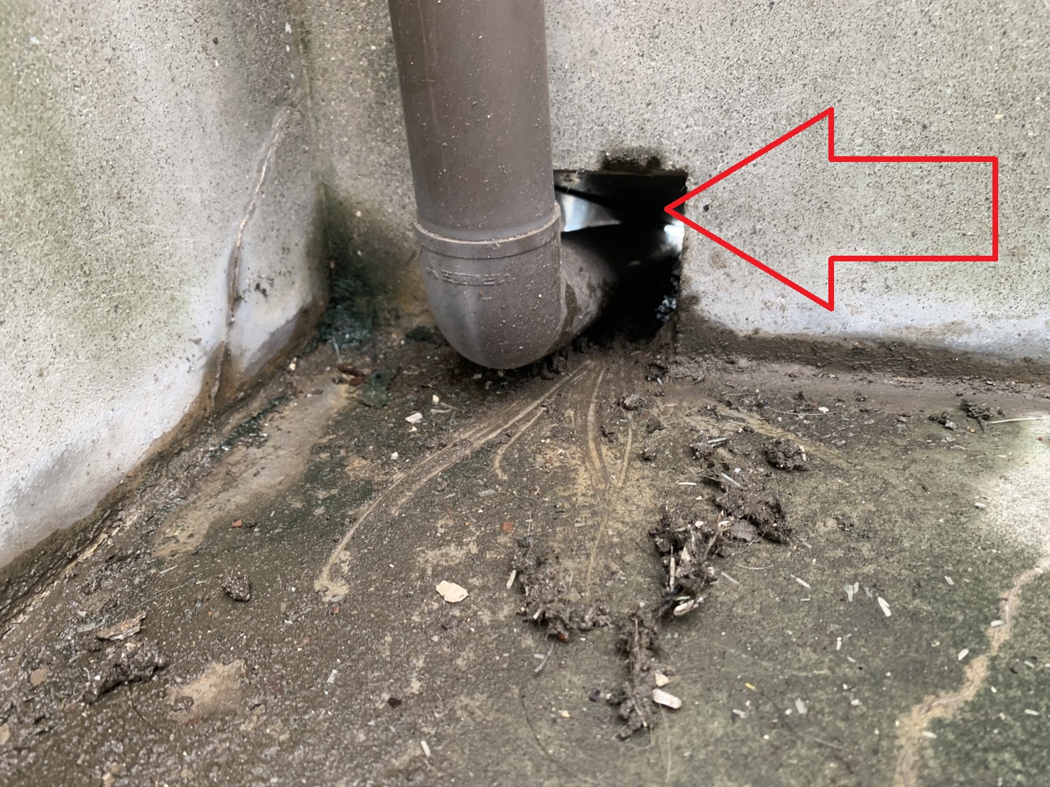 雨漏りの可能性がある排水溝