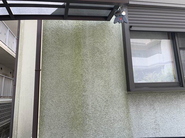 苔の生えた外壁サイディングボードの様子