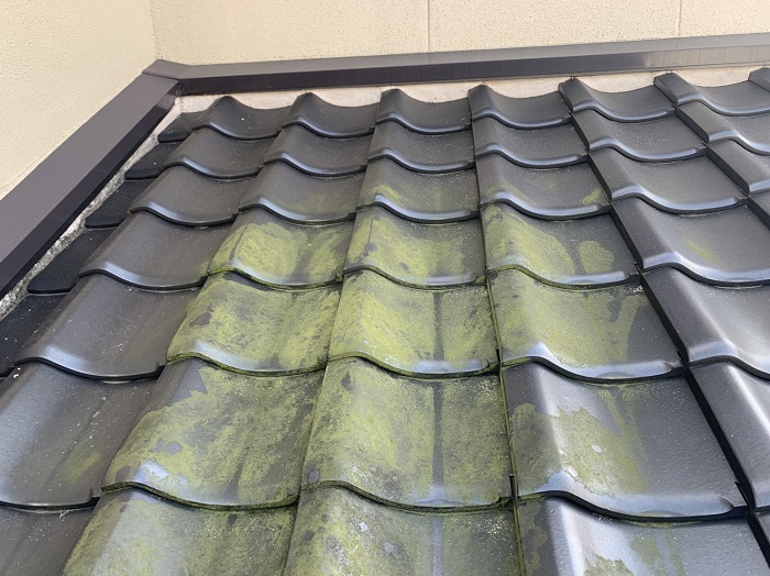 瓦屋根に発生する苔