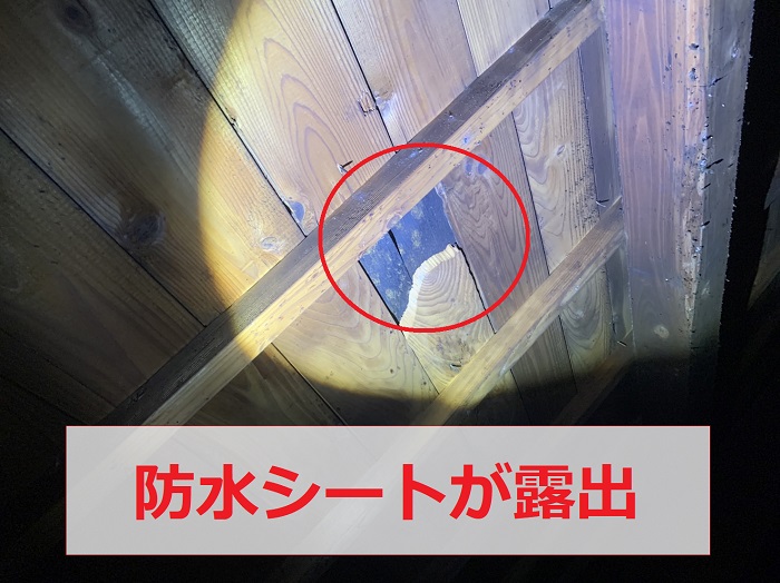 屋根下地が割れて防水シートが露出している様子