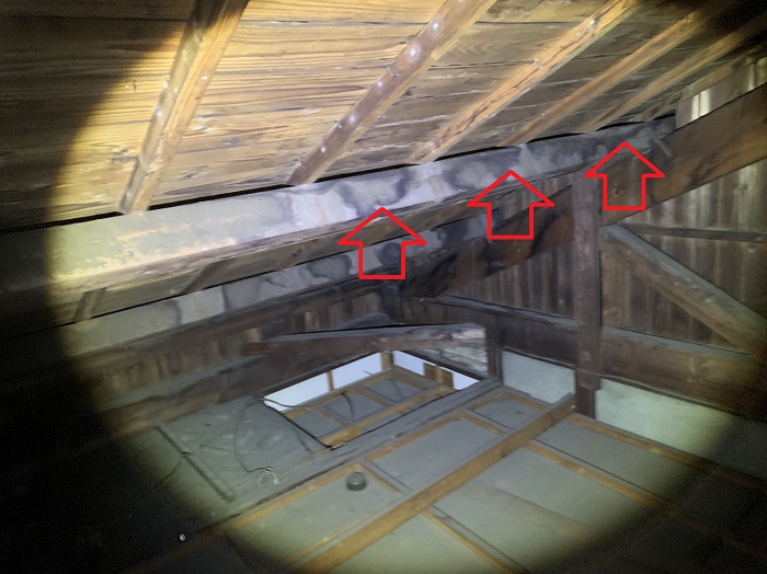 天井裏の雨漏りが酷い様子