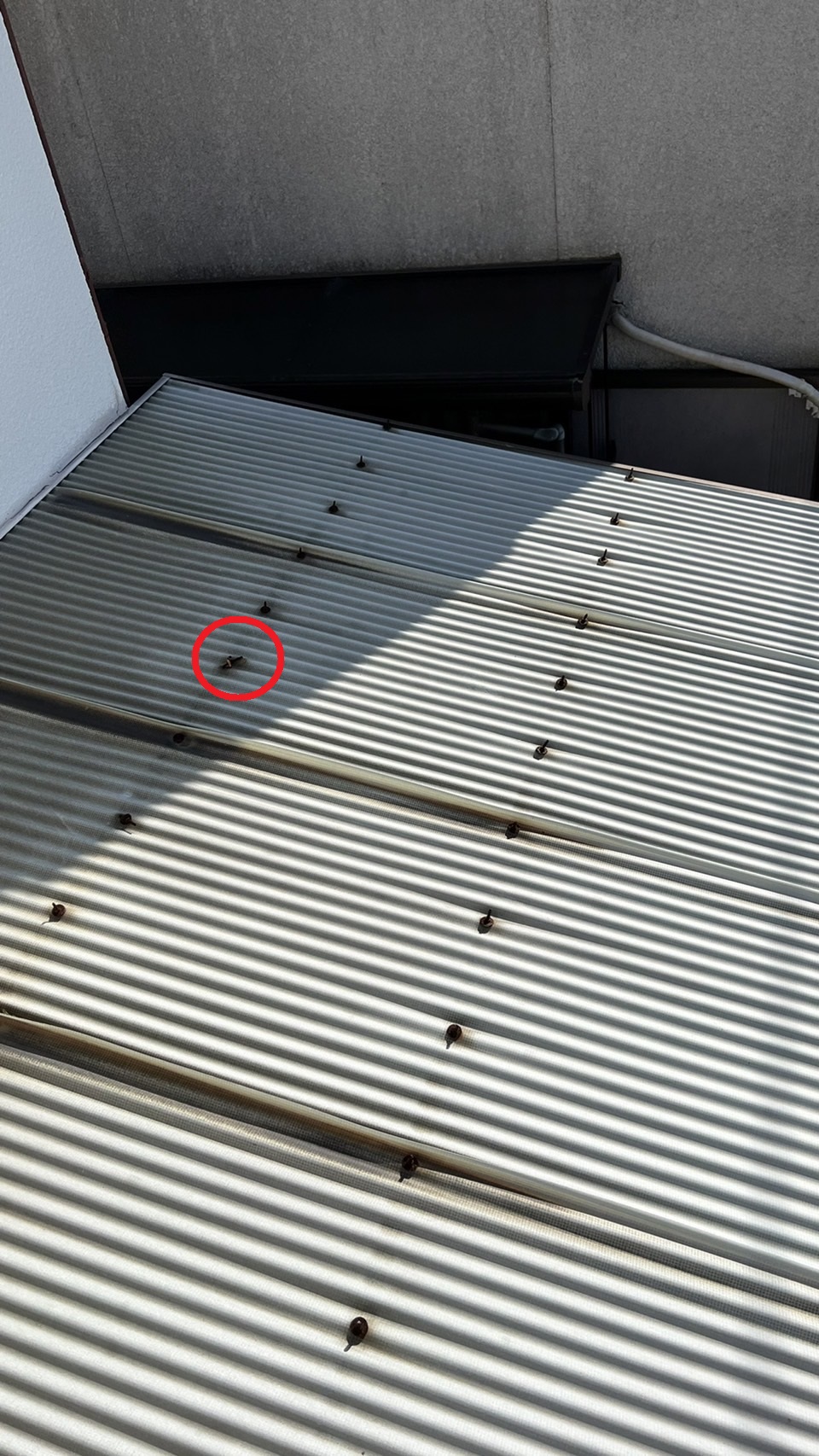 波板を固定しているフックボルトの様子