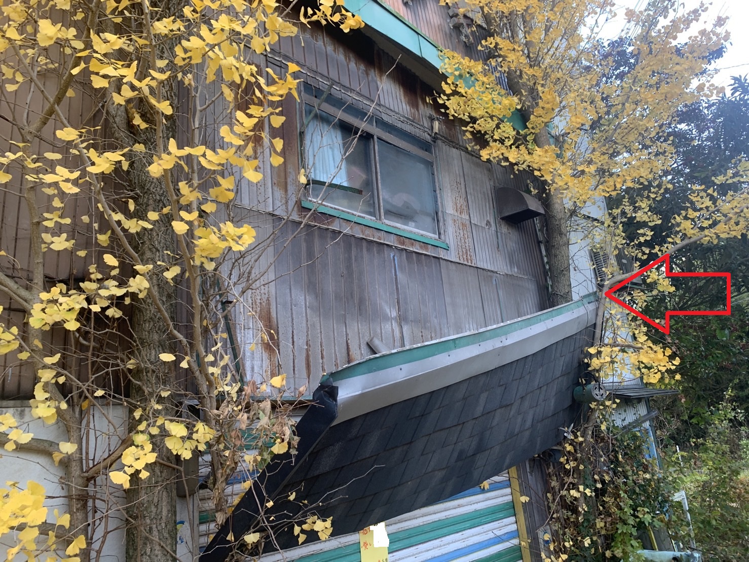 台風被害で倒壊した庇屋根が気に引っかかっている様子