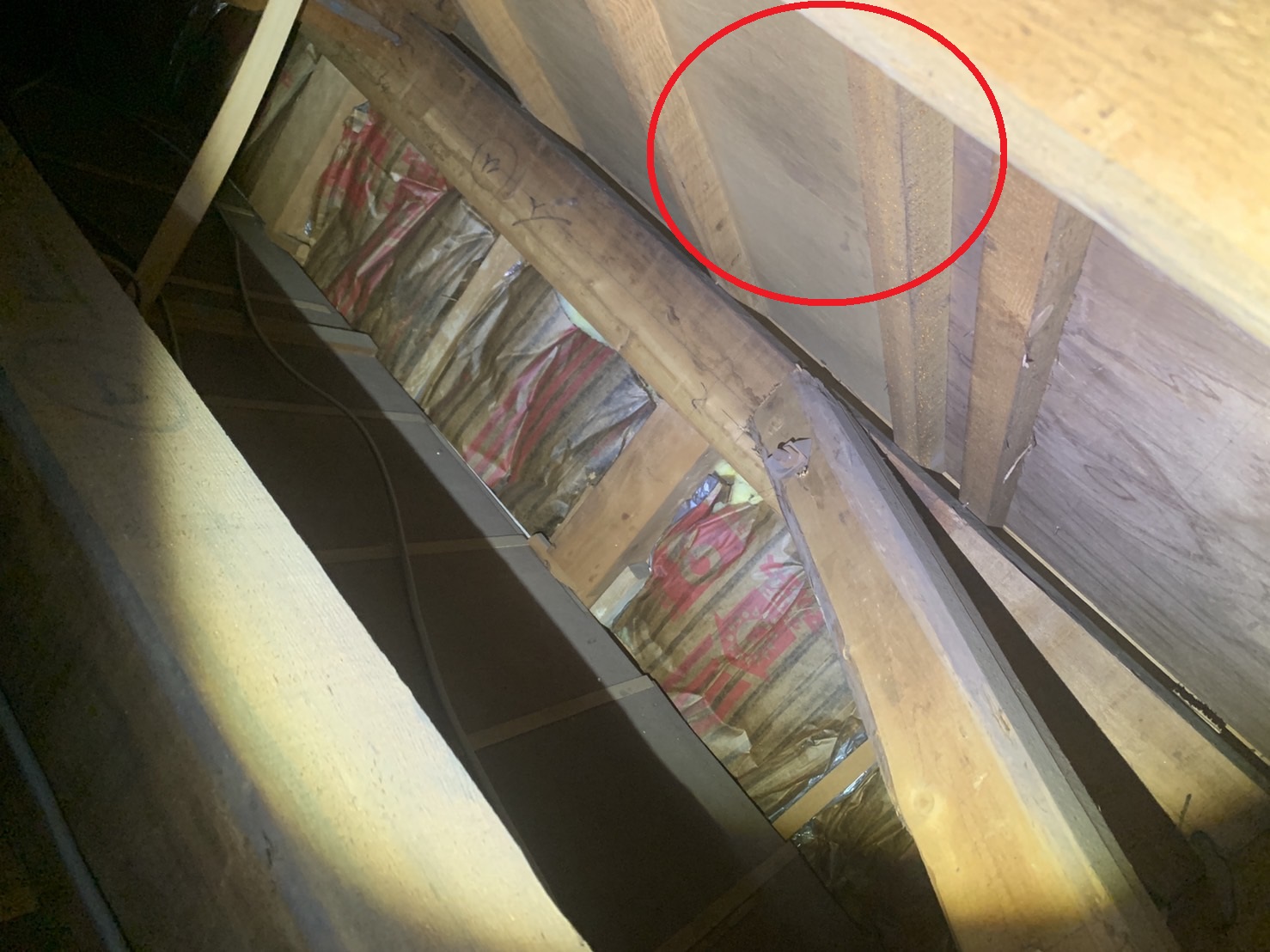 天井裏に雨シミがある様子