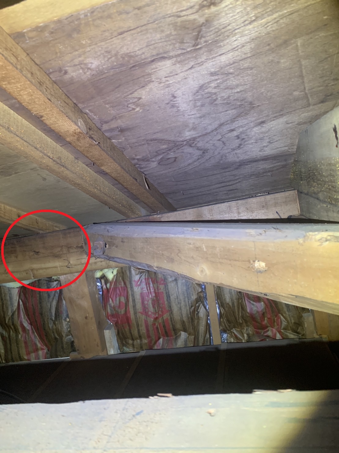 屋根葺き替え工事をご提案した天井裏