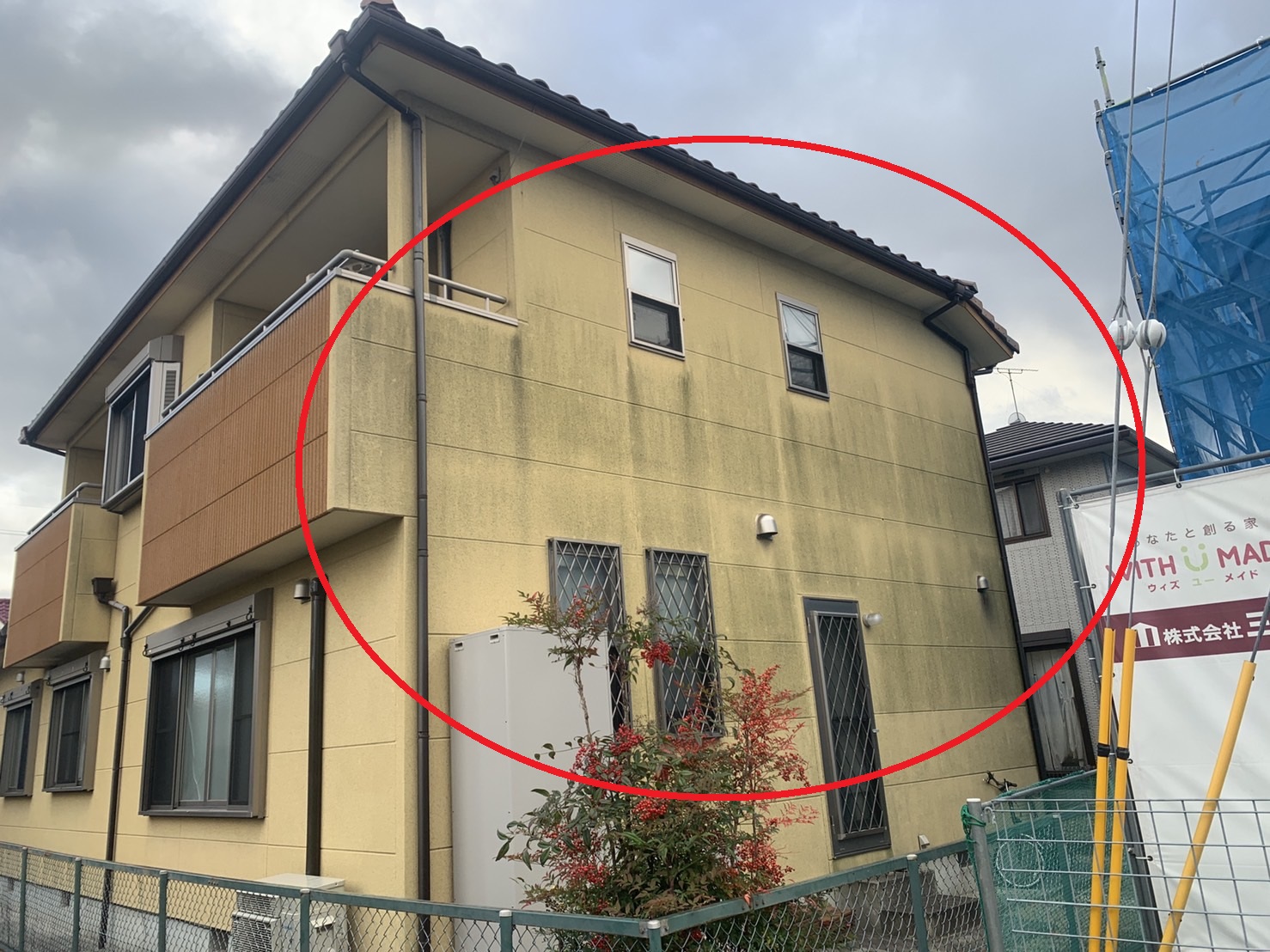 外壁に発生したカビの様子