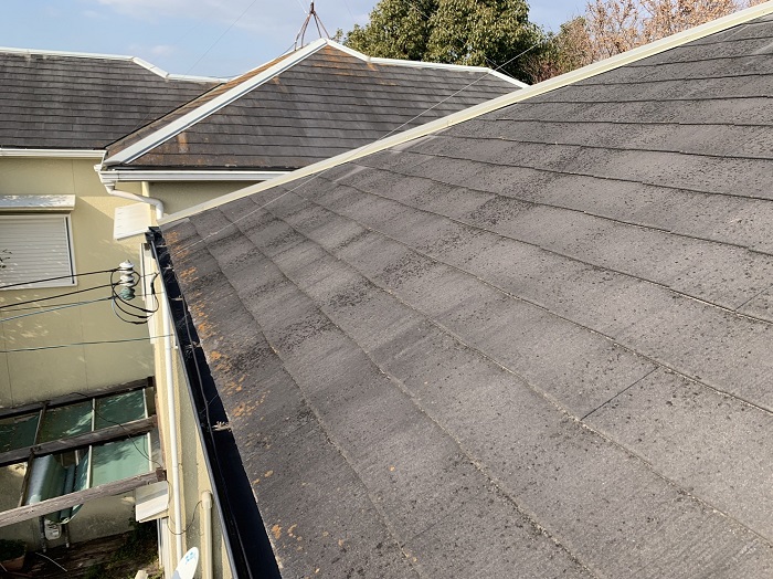 カラーベスト屋根に苔が発生している様子