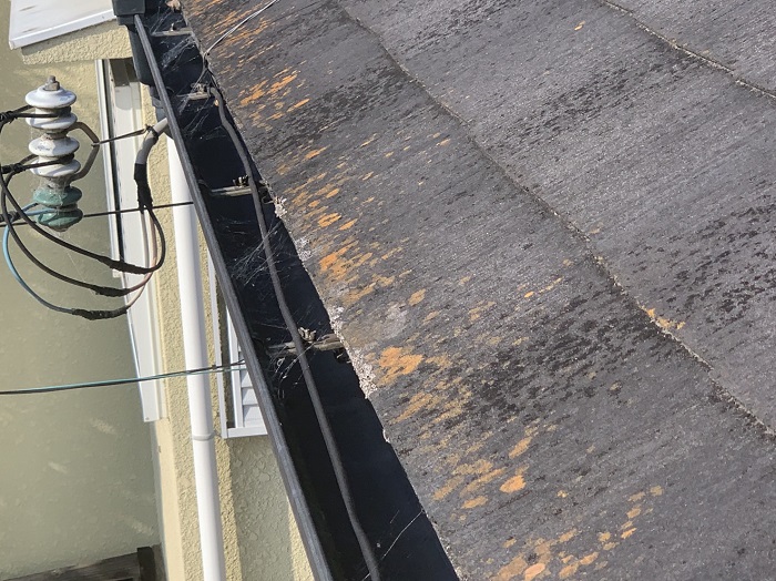 カラーベスト屋根に発生している苔