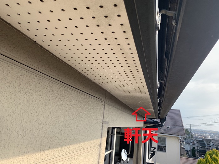 軒天にカビが発生している様子