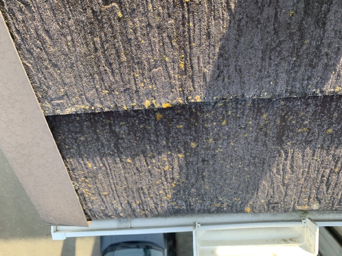 カラーベスト屋根に苔が発生している様子