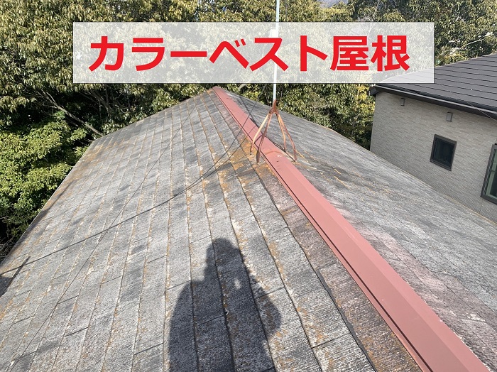 苔の発生しているカラーベスト屋根