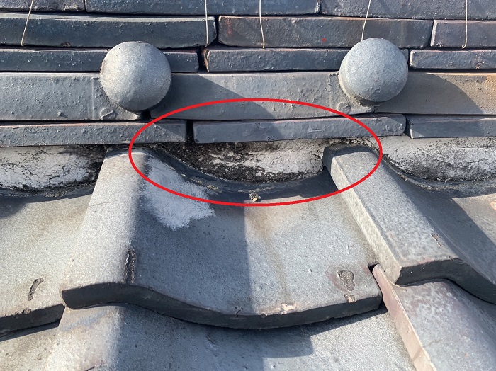 漆喰に発生しているカビの様子