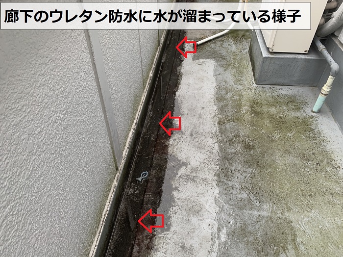廊下のウレタン防水に水が溜まっている様子