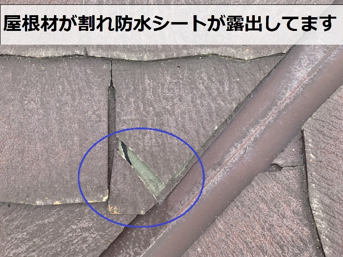 屋根材が割れ防水シートが露出している様子