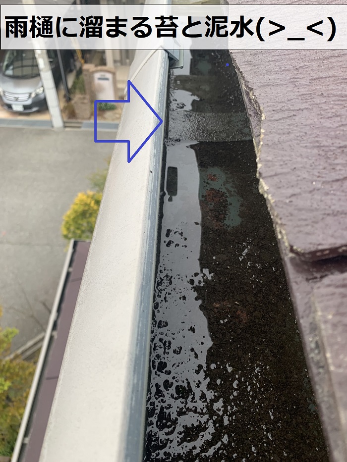 雨樋に苔と泥水が溜まっている様子