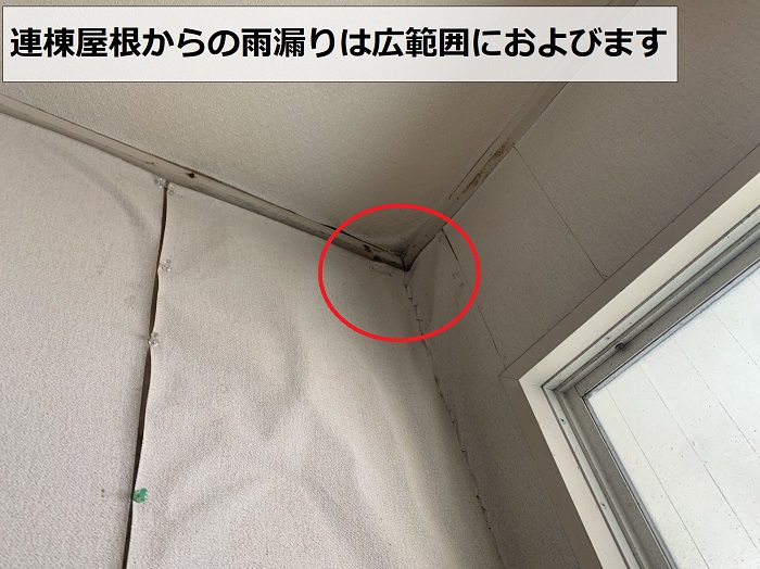 連棟屋根からの雨漏りが広範囲に及んでいる様子