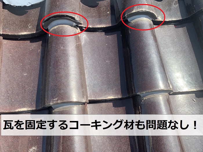 棟瓦のこーきんぐがキレイな様子