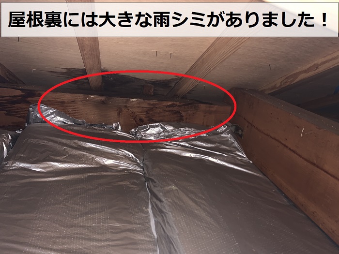 屋根裏にできている大きな雨シミ