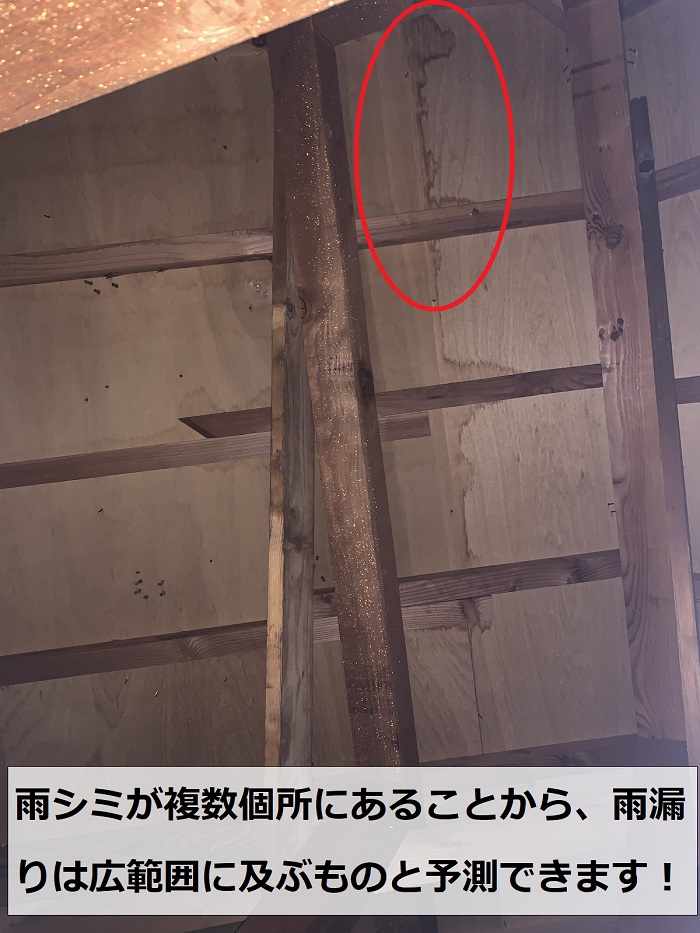 雨漏りが複数個所に発生している様子