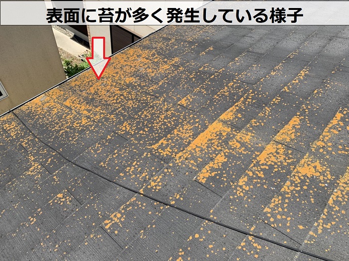 スレート屋根に苔が発生している様子