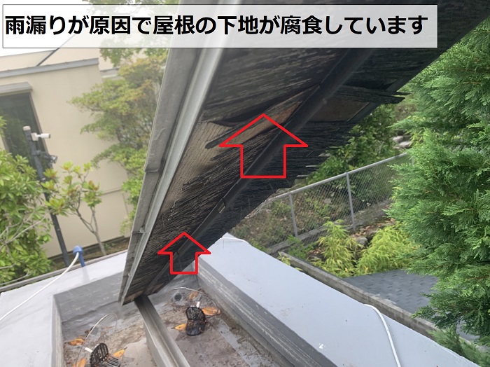 雨漏りの影響で屋根の下地が腐食している様子