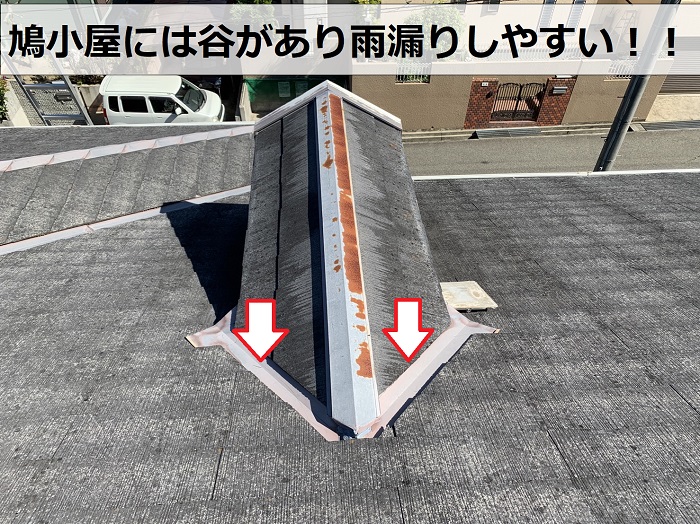 鳩小屋の廻りに谷が設けられている様子